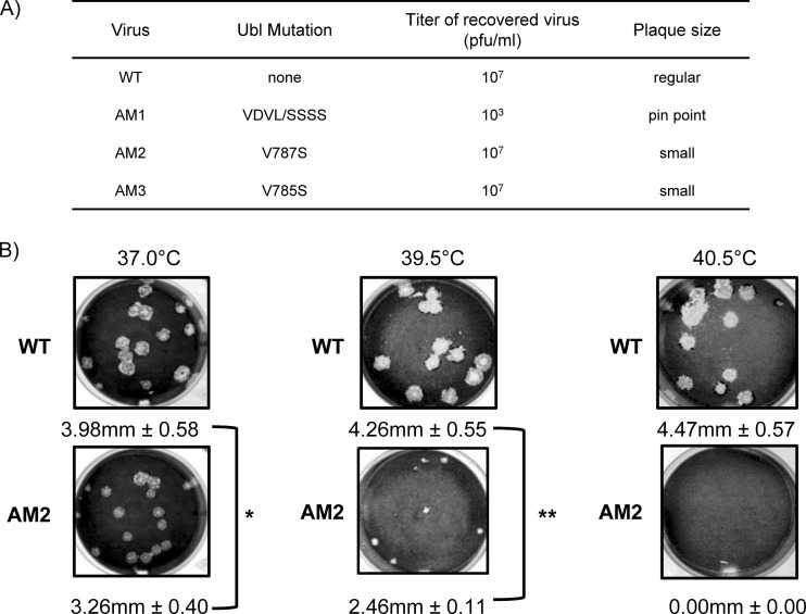 FIG 2