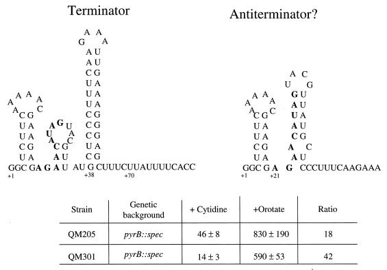 FIG. 6