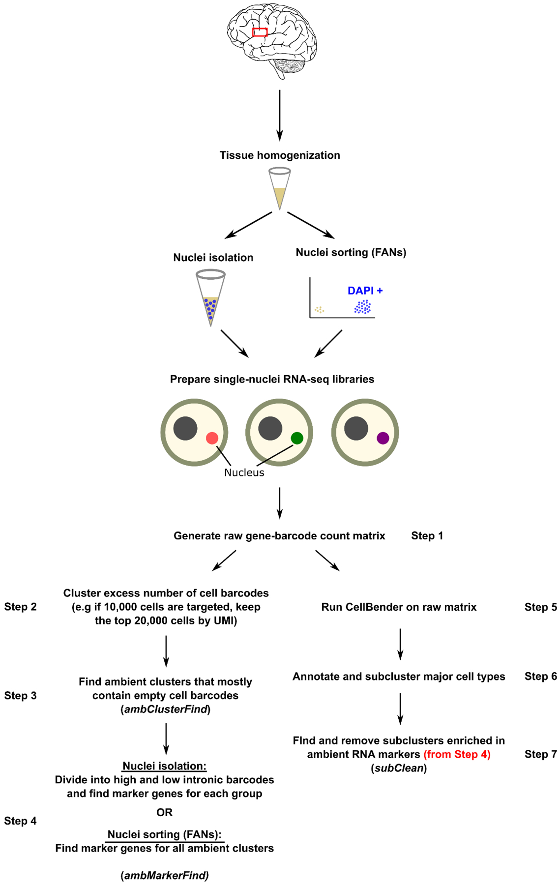 Figure 5: