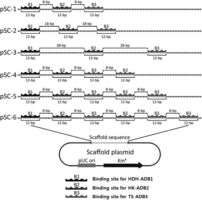 Fig 3