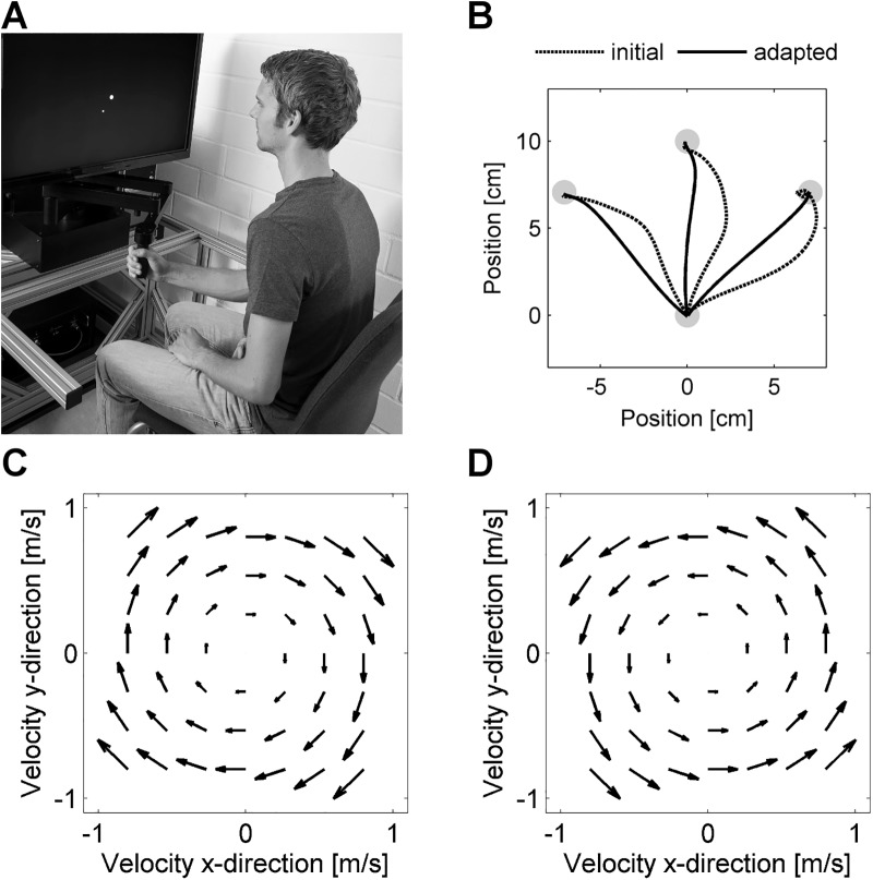 Fig 1