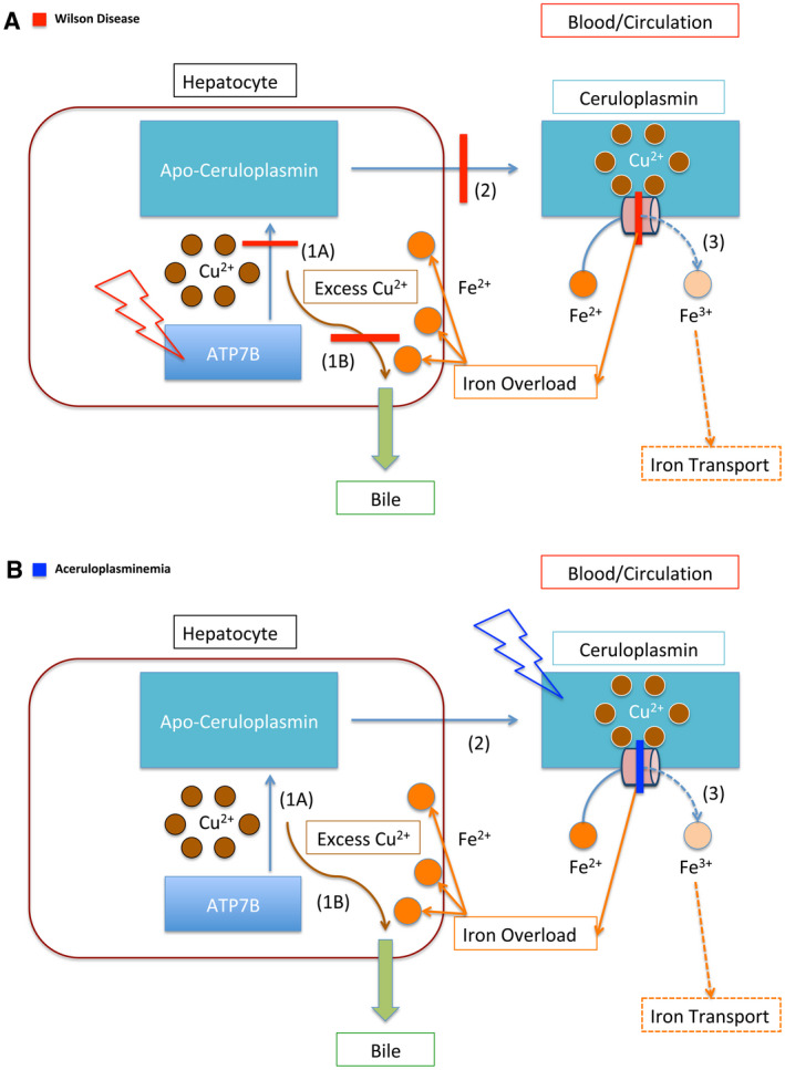 FIG 3