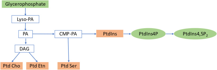 Figure 2