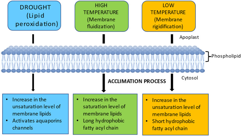 Figure 7