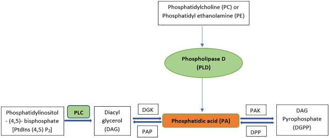 Figure 1