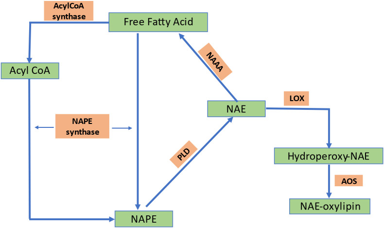 Figure 6