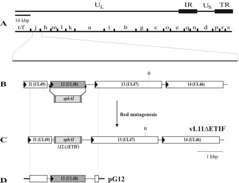 FIG. 2.