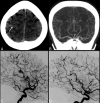 Fig 1.