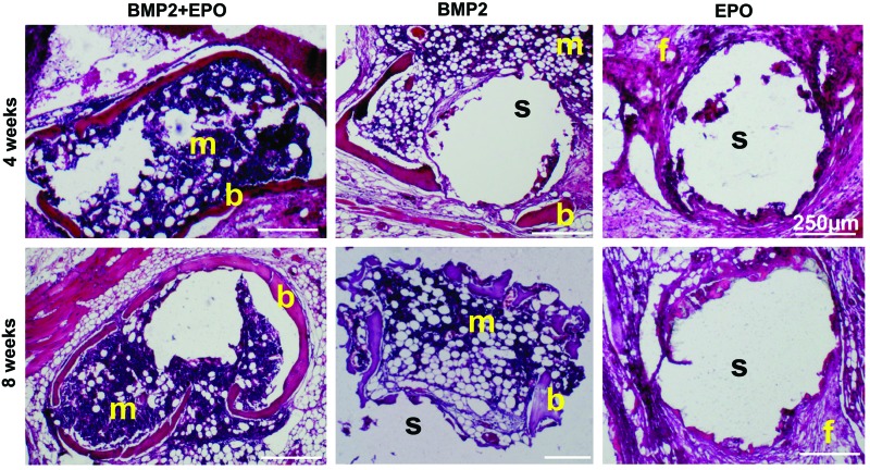 FIG. 7.