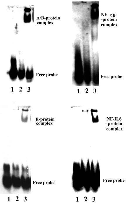 FIG. 9.