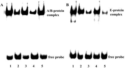 FIG. 10.