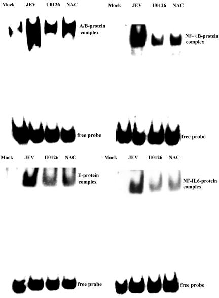 FIG. 11.