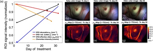 Fig. 7