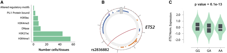 Figure 4