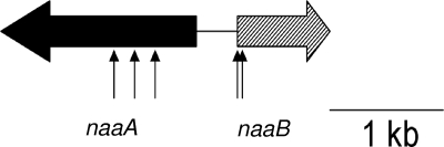 FIG. 3.