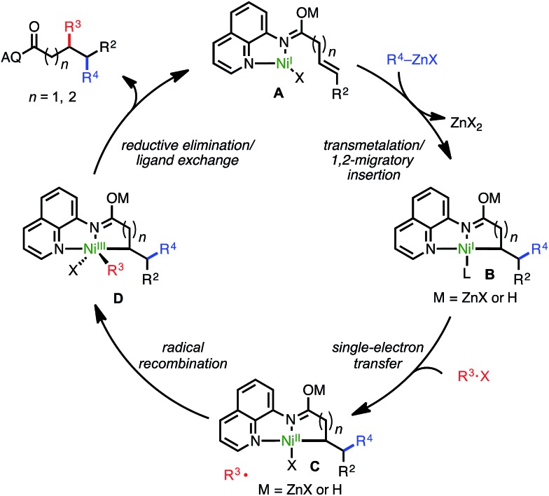 Scheme 4