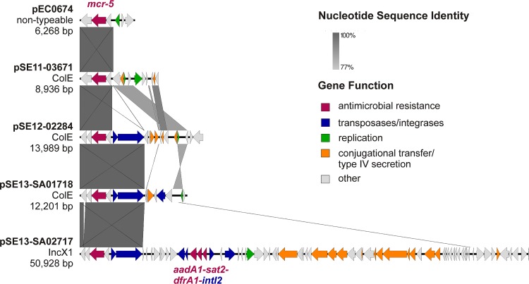 FIG 1