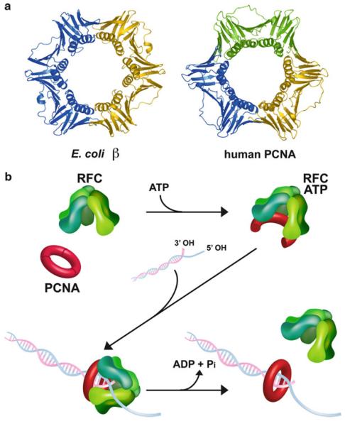 Fig. 14.1