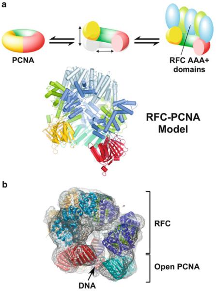 Fig. 14.4