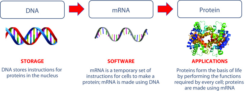 FIGURE 1—