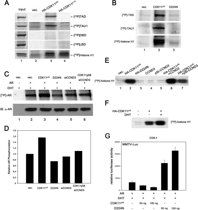 FIG. 6.