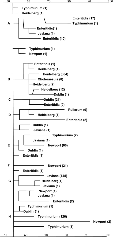 FIG. 1.