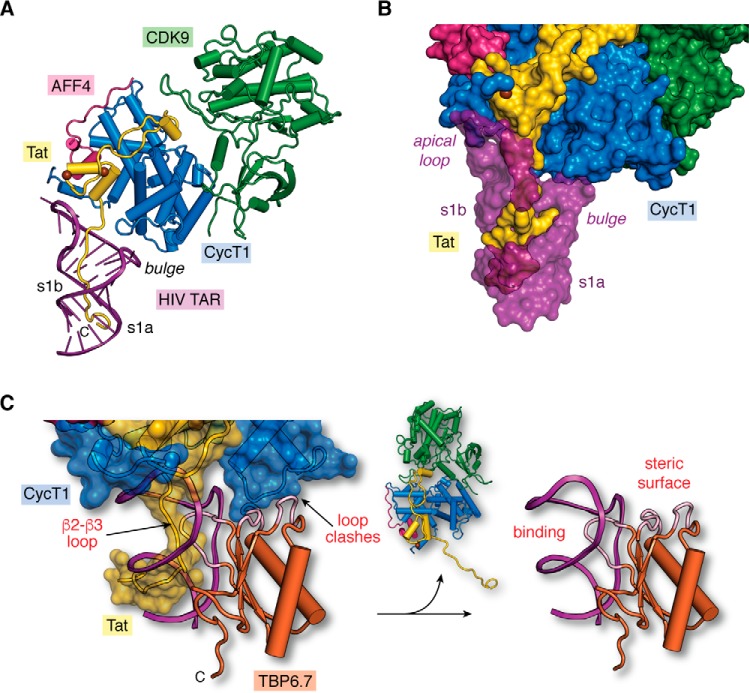 Figure 6.