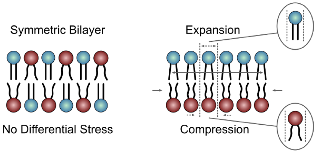 Figure 11.