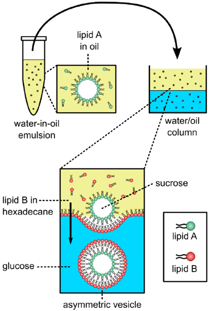 Figure 9.