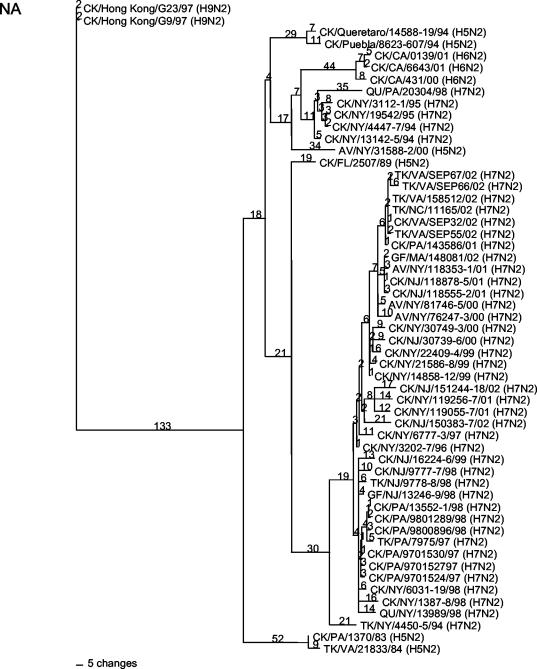 FIG. 2.