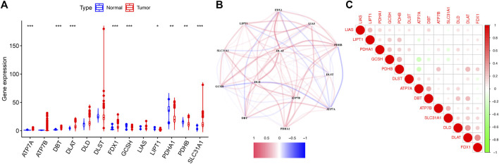 FIGURE 2