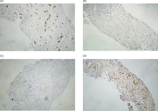 FIGURE 3: