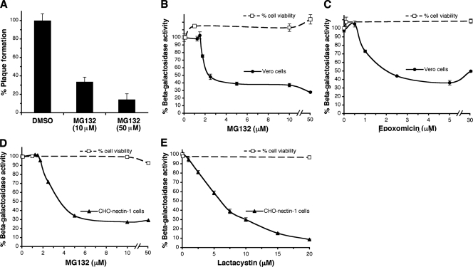 FIG. 1.