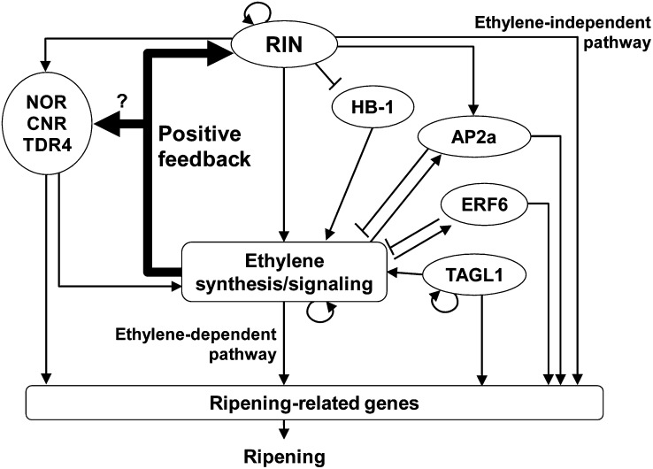 Figure 9.