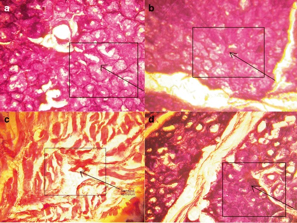 Fig. 7