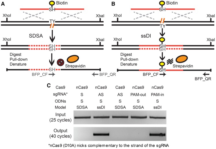 Figure 6.