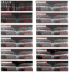 Fig. 8