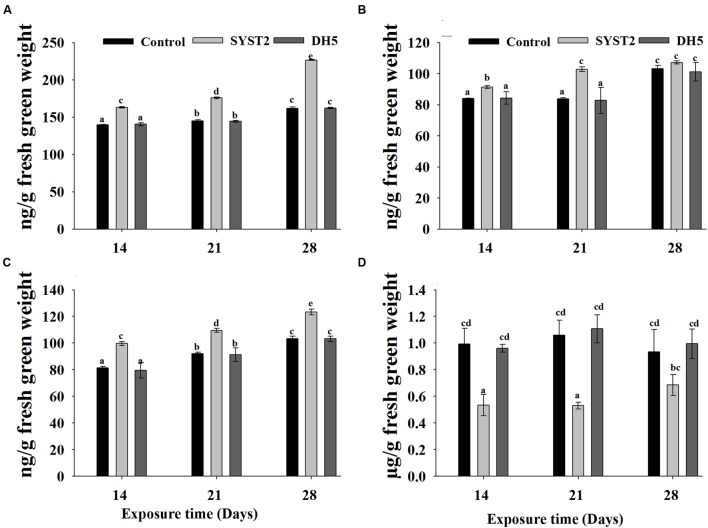 FIGURE 5