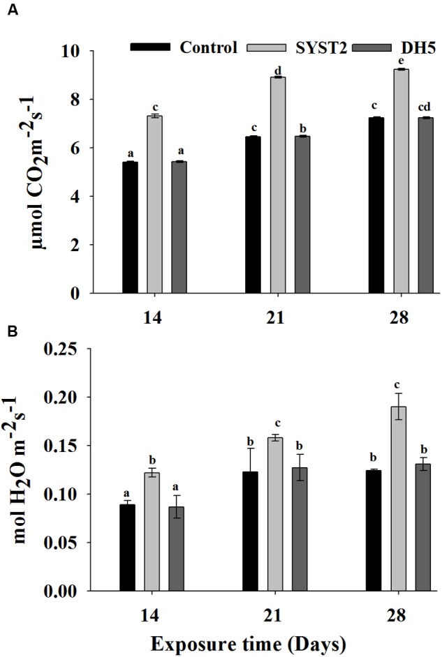 FIGURE 4