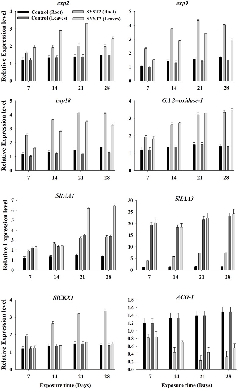 FIGURE 6