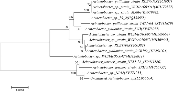 Fig 2