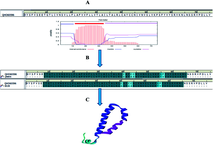 Fig. 3