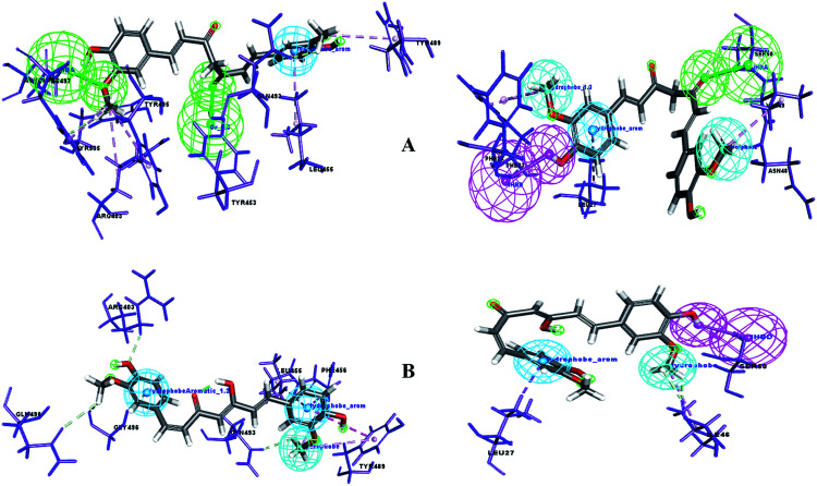 Fig. 10