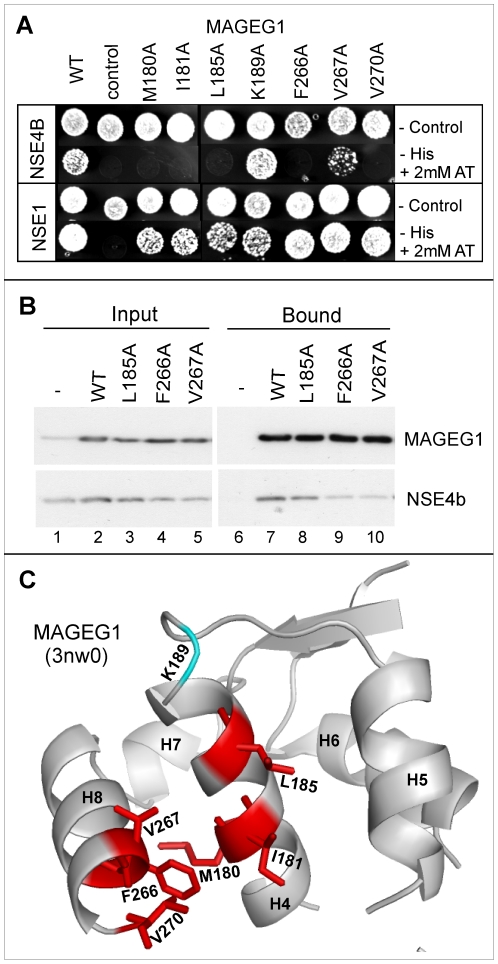 Figure 5