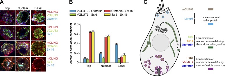 Figure 7.