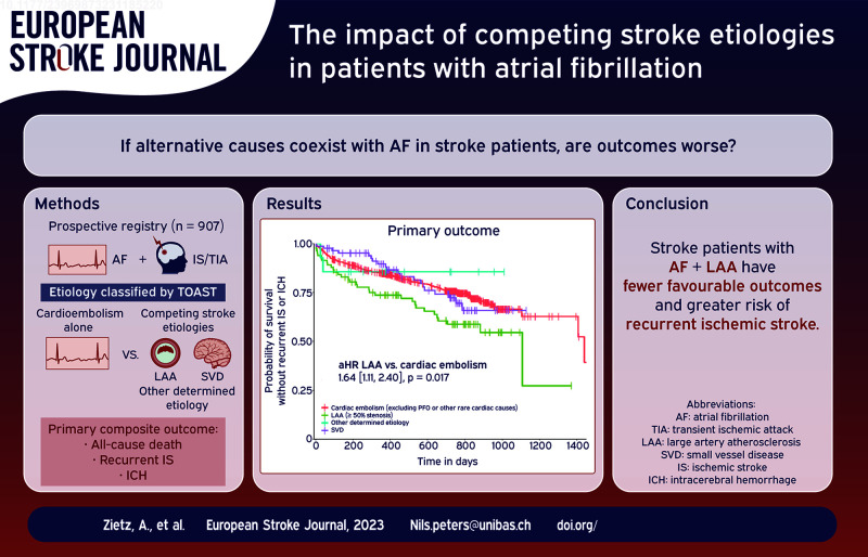 Graphical abstract