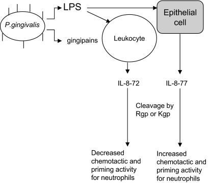 FIG. 5.