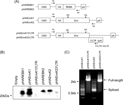 FIG. 5.