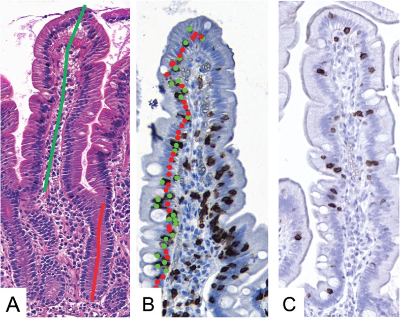 Fig. 1