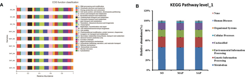 Figure 6